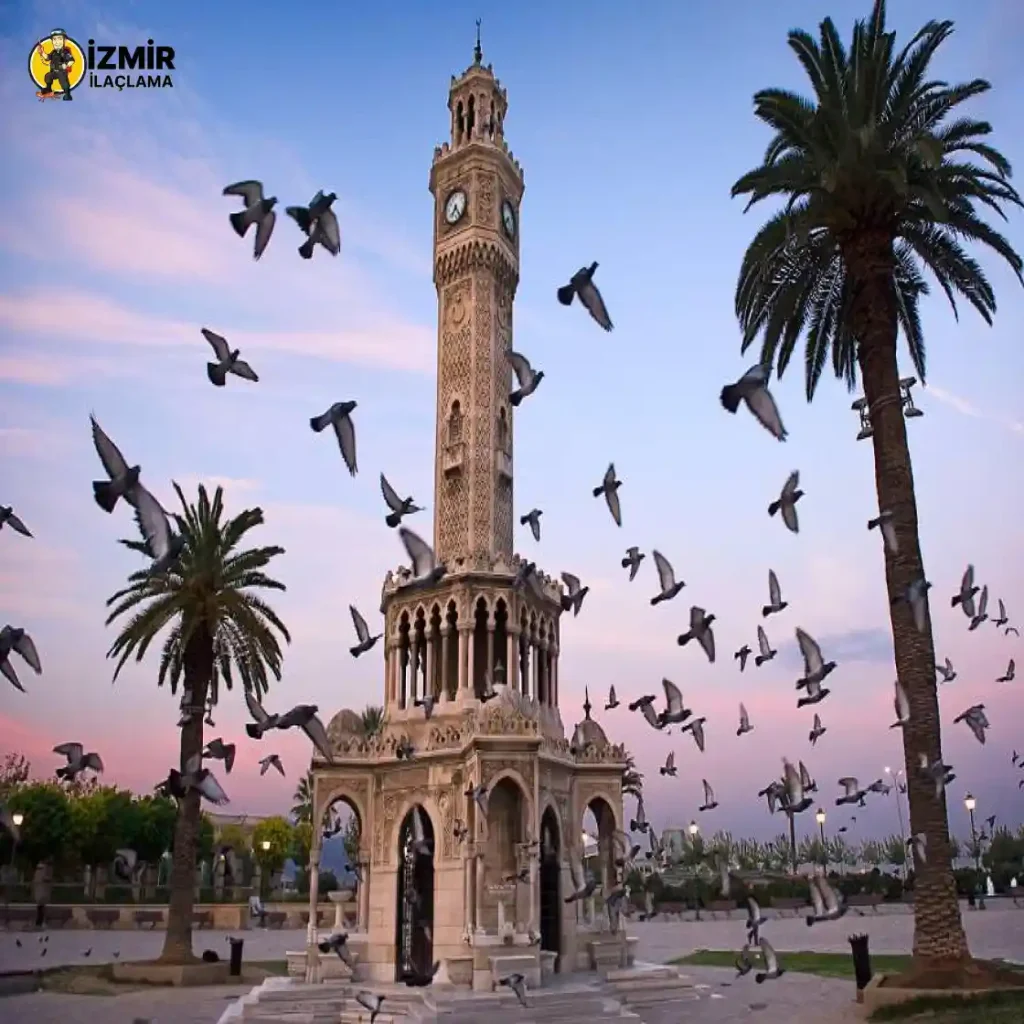 Konak Böcek İlaçlama 2 ev ilaclama sirketleri izmir konak